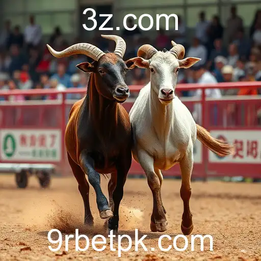 Rinha de Galos: Tradição, Controvérsias e o Papel do 9rbet